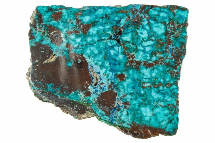 Vibrant Chrysocolla and Shattuckite Slab - Mexico #348742